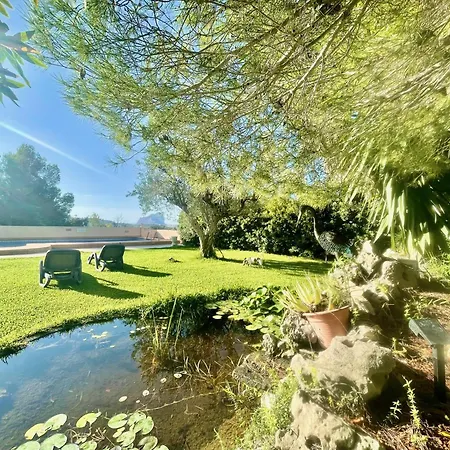 Sunny With Sea View, Lots Of Land, Very Quiet