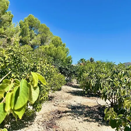 Sunny With Sea View, Lots Of Land, Very Quiet *