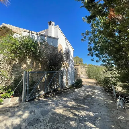 Sunny With Sea View, Lots Of Land, Very Quiet Apartment